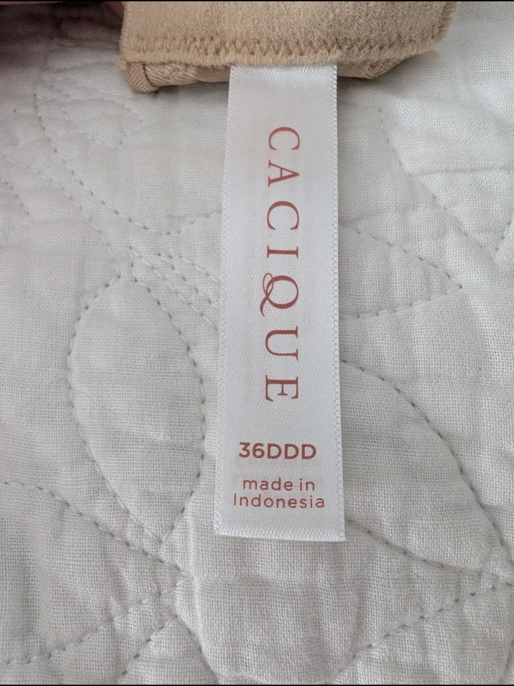 Cacique seamless molded